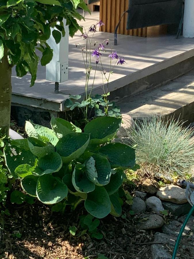 Haus 16 Ferienhaus Zwischen Salzburg Chiemsee Und Waging Am See Kirchanschoring 外观 照片